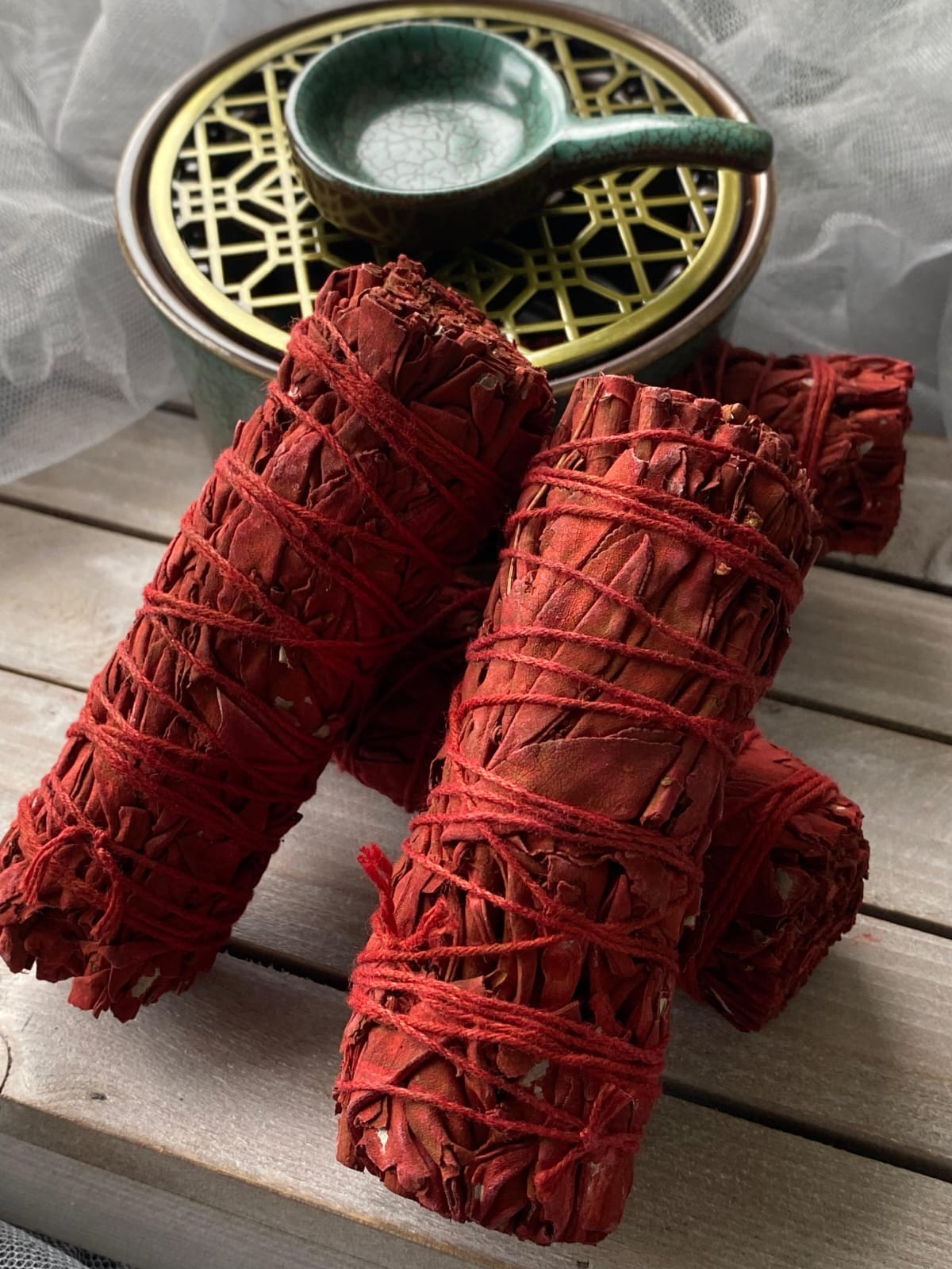 🐉 龍血鼠尾草